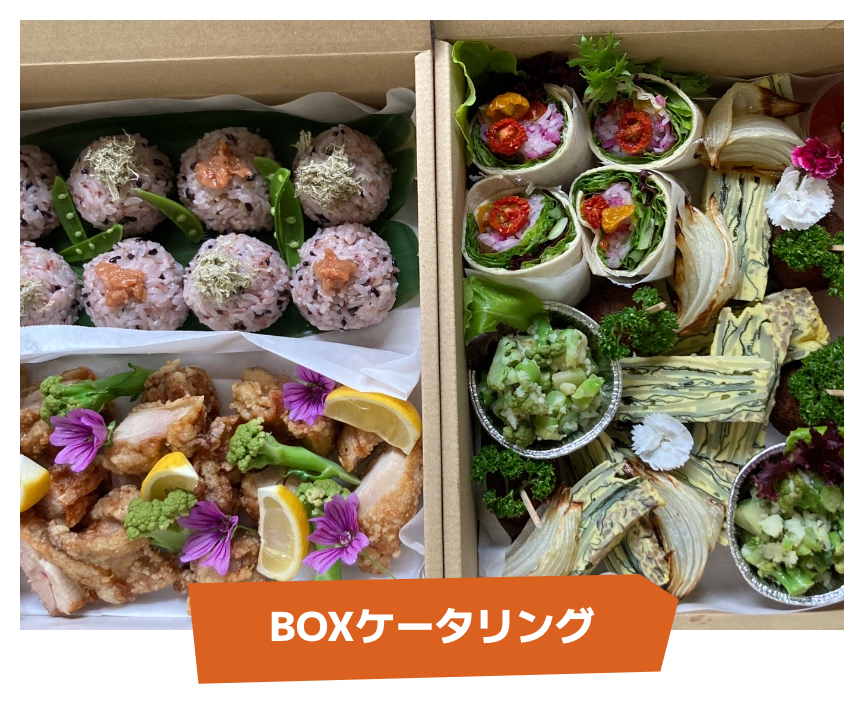 lunch-box